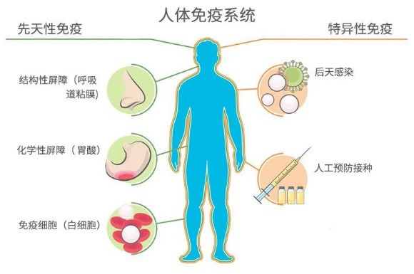 免疫系统检测