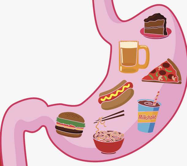 肠胃道系统检测